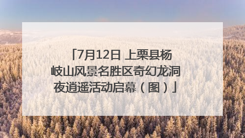 7月12日 上栗县杨岐山风景名胜区奇幻龙洞夜逍遥活动启幕（图）