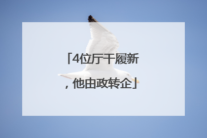 4位厅干履新，他由政转企