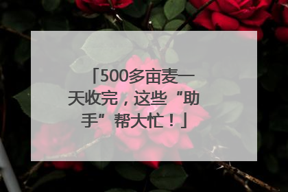 500多亩麦一天收完，这些“助手”帮大忙！