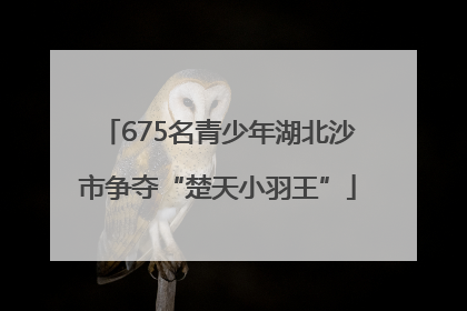 675名青少年湖北沙市争夺“楚天小羽王”