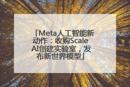 Meta人工智能新动作：收购Scale AI创建实验室，发布新世界模型