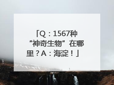 Q：1567种“神奇生物”在哪里？A：海淀！
